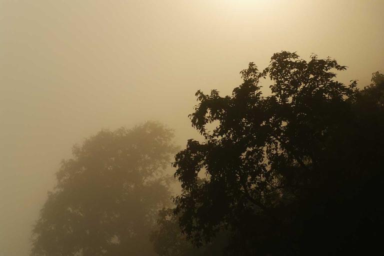 Gulf Oil Flow Threatened by Iran Conflict