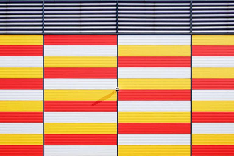 Young Whale Shark Dies on Tanjung Aru