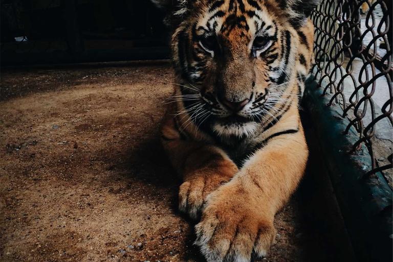 Civil Servants Penalised for Smoking in Rawang