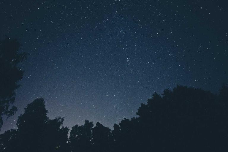 KL City Hall Fined RM820k Over Tree Fatality