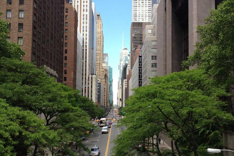 Belarus and North Korea Deepen Alliance