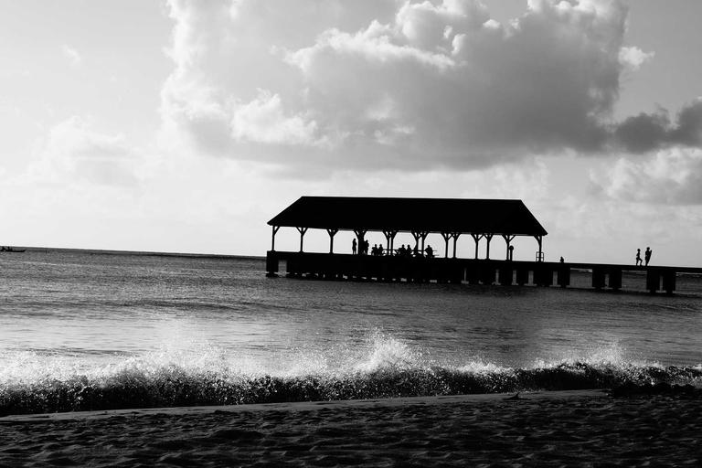 Hybrid Work Dreams Shape Office Future