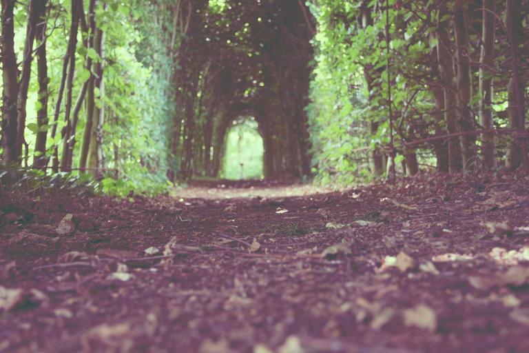 Labuan Corp Calls for Investors on Prime Sites