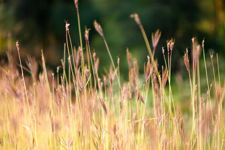 Jerusalem Tensions Rise on Palm Sunday