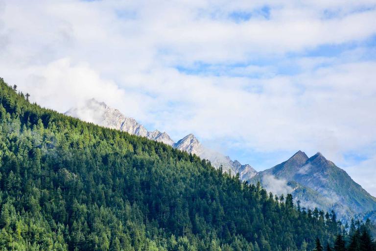 Trump's Bold Plot to Grab Iran Uranium