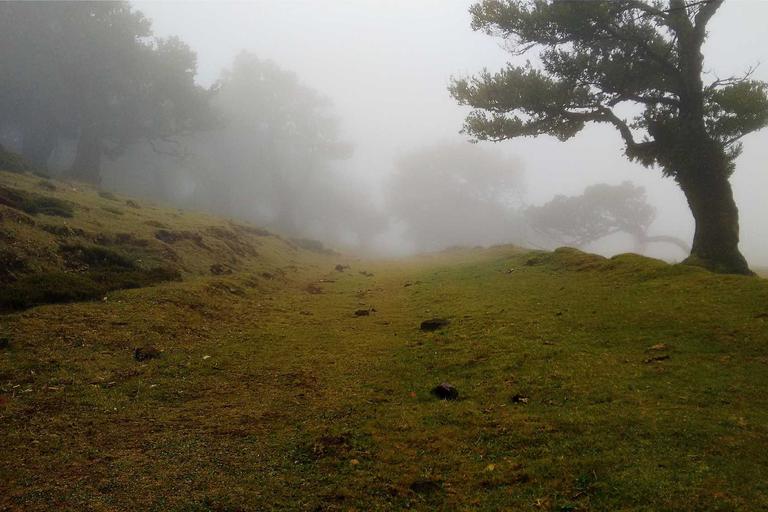 Drug‑Impaired Driver Kills Three in Segamat