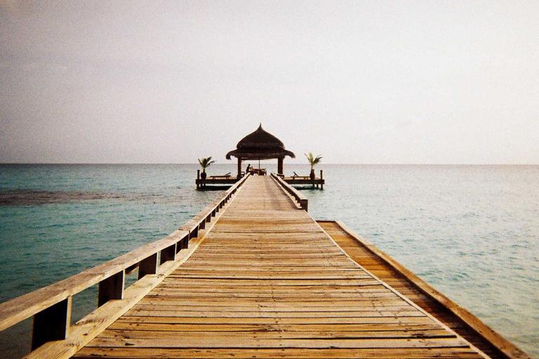 Apple Turns the Page with New CEO