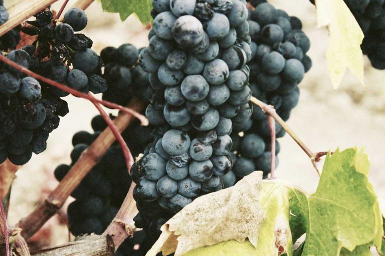 Malaysia Cracks Down on Zakkat Fund Misuse