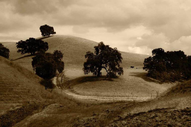 AI Soldiers Redefine Modern Conflict