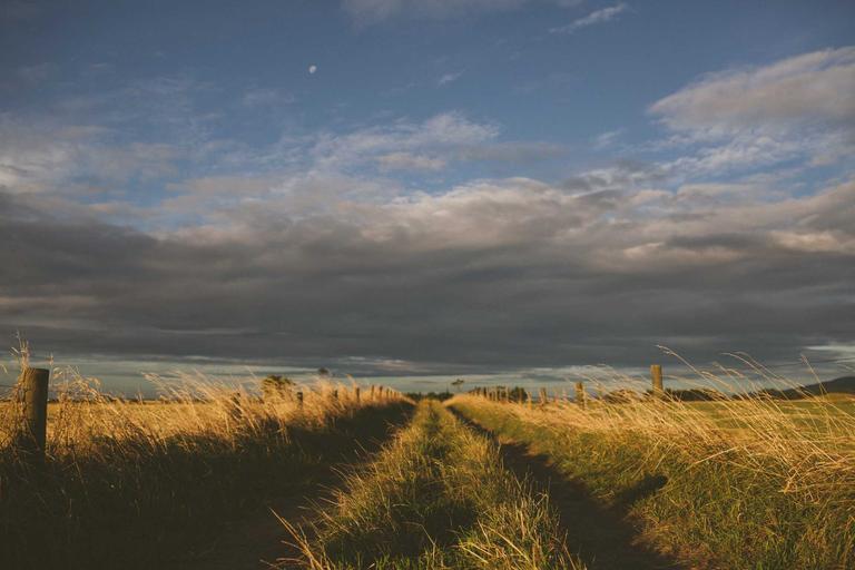 Azam Baki's Final Call on Corruption