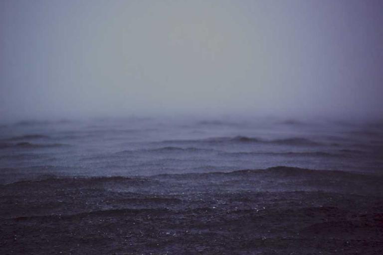 Sydney Shaken by Recent Shark Attacks