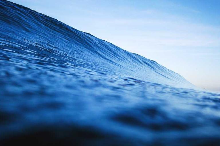 Five Stars Compete for Oscar Best Actor