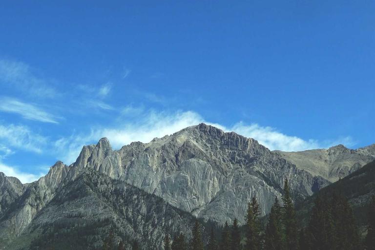 Mum’s Fork Fury Leads to Fine