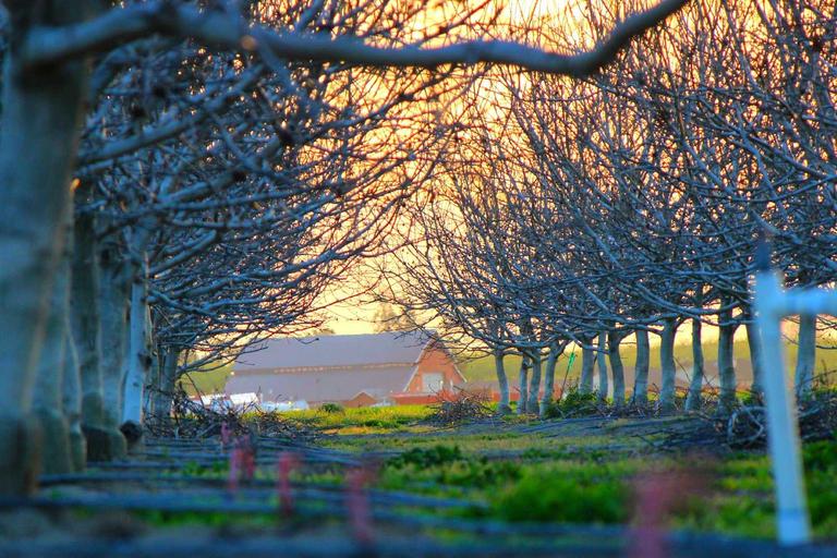 Civilians Bear Gaza’s Brunt