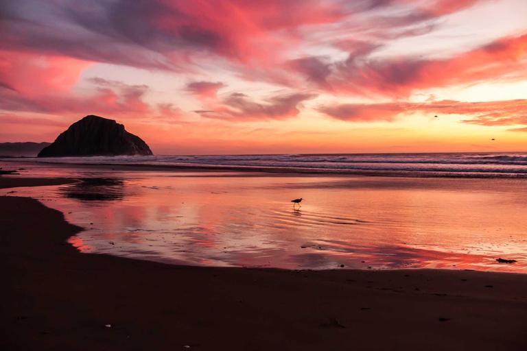 Ronald says Peja's PAS jab is real