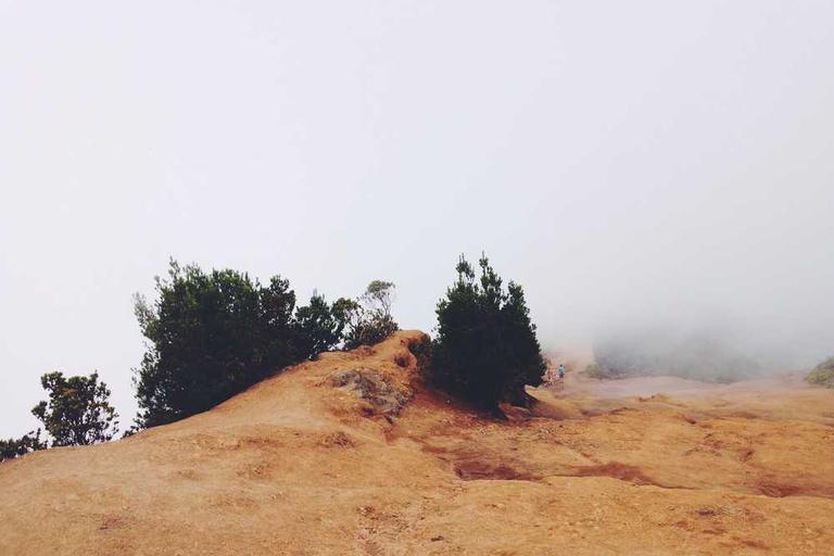 Cleaner Bus Rides by 2031