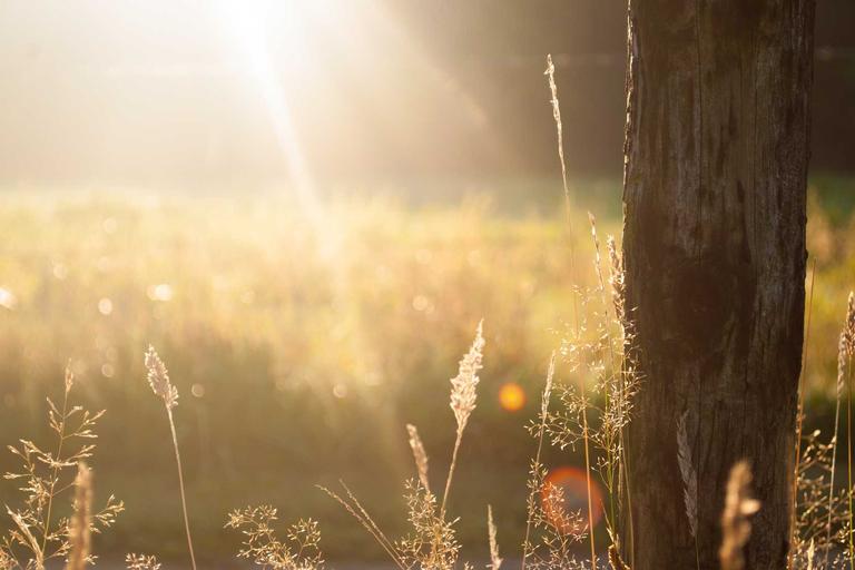 Middle East Conflict Spreads in Days