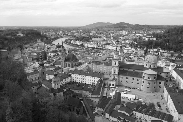 Speedy Tigress's World Cup Dream Ends